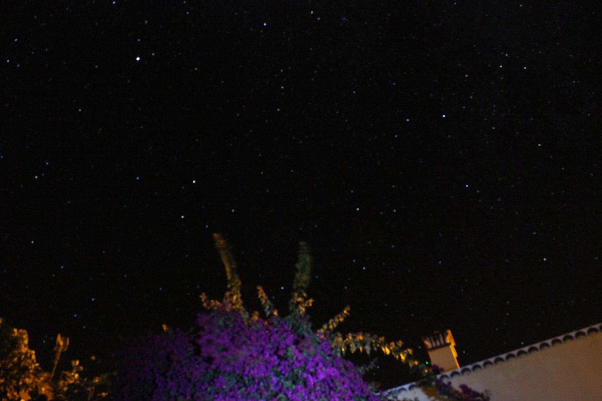 Los Nacientes: Cordero Los Sauces Luaran gambar